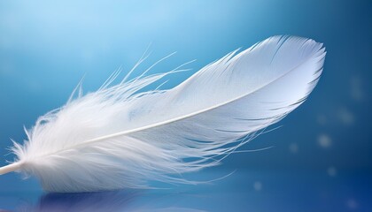 Naklejka premium Elegant white feather floating in serene light against a blue background, blue