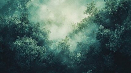 Obraz premium A misty forest scene with dense foliage and ethereal light illuminating the atmosphere.