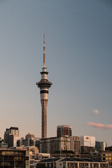 View of Sky Tower in Auckland as seen from the city during sunset at dusk (Auckland, North Island, New Zealand)