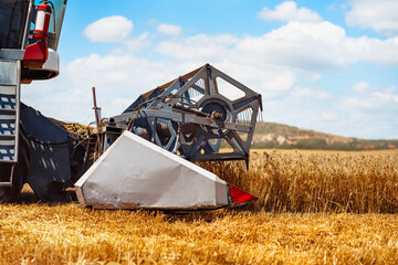 Combine Harvester Working, Cut Stem Cereals on Wheat Field on Farm. Seasonal Harvesting....