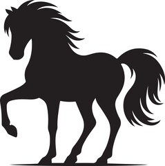 horse silhouette isolated on white