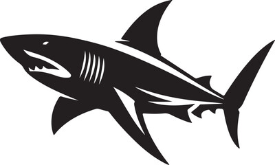 shark illustration
