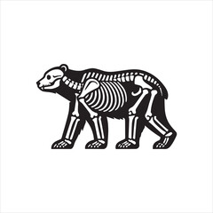 illustration of a bear