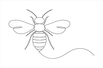 Honey bee continuous one line art drawing of vector