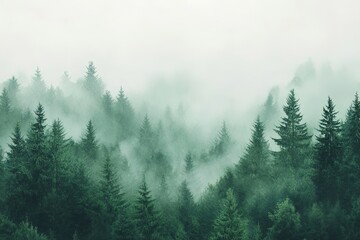 A dense pine forest enveloped in mist reveals muted green and gray tones. This soft watercolor artwork captures tranquility, making it ideal for reflective spaces