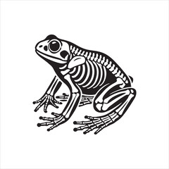 frog on white background