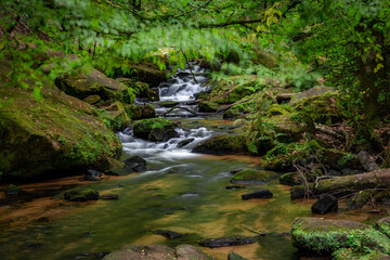 Creek of Moosalbe in Karlstalschlucht with small Waterfalls, Rhineland-Palatinate, Germany, Europe