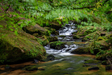 Creek of Moosalbe in Karlstalschlucht with small Waterfalls, Rhineland-Palatinate, Germany, Europe