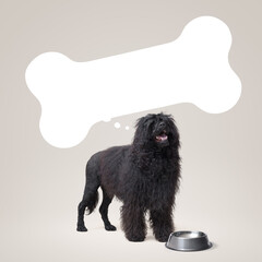 Hungry dog and bone shaped speech balloon