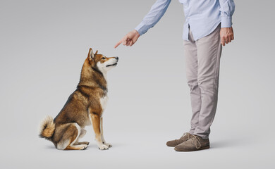 Pet owner scolding his dog