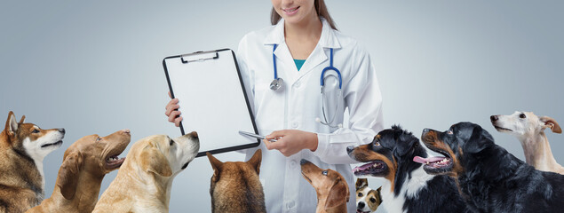 Professional veterinarian surrounded by dogs