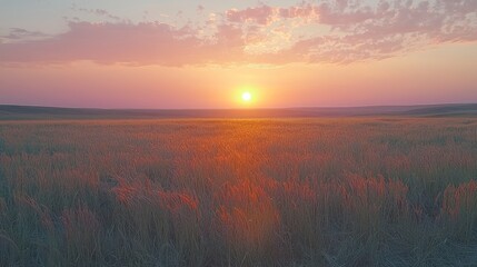 Obraz premium A serene sunset over a golden field, evoking tranquility and natural beauty.