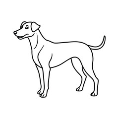 illustration of a dog