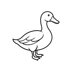 illustration of a duck