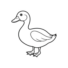 duck illustration