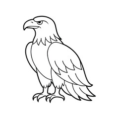 illustration of a bird