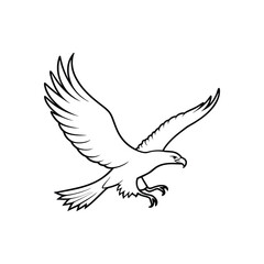 eagle flying in the sky
