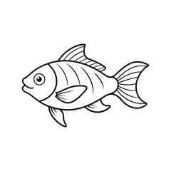 fish on white background