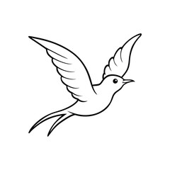 dove of peace isolated