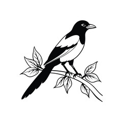 magpie bird on branch.eps