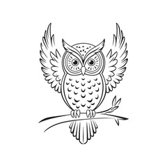 Obraz premium owl on white background