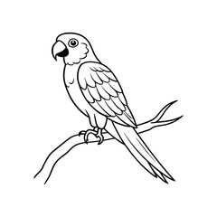 parrot on a branch