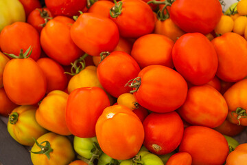 A pile of harvested tomatoes.