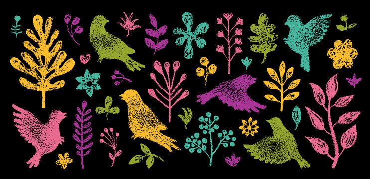 Chalk bird and flower. Doodle kid crayon drawing on chalkboard. Hand drawn pattern. Child blackboard background. Color vector illustration with chalk bird, spring flower element. Cute school garden bg