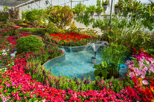 The greenhouse garden showcases petunias, globe amaranths, cosmos, sunflowers, cockscombs, and orchids, with a stream flowing through its center.