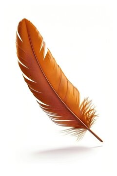Brown Feather