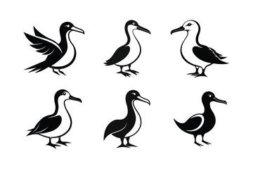 Laysan Albatross (Phoebastria immutabilis) mammal animal, labeled silhouette vector art illustration.
