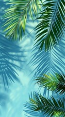Fototapeta premium Palm tree leaf backgrounds outdoors