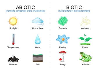 Biotic living factors and abiotic nonliving components of the environment.
