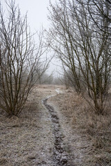 Winter landscape, effect of falling rime.
