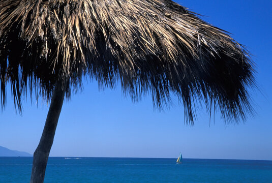 A charming palm tree casts a shadow over pristine ocean waters, embodying a tranquil tropical paradise ideal for relaxation and escape from daily life in Puerto Vallarta Mexico