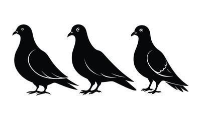 Rock Pigeon silhouette vector illustration, Rock Pigeon silhouette vector.