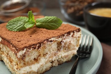 Piece of tasty tiramisu with fresh mint on table, closeup