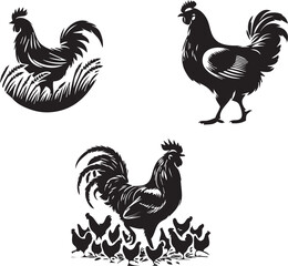 silhouette of clean hens
