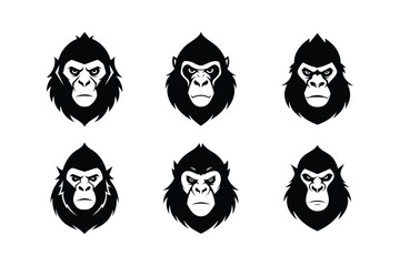 Mountain Gorilla (Gorilla beringei beringei) mammal animal, labeled silhouette vector art illustration.