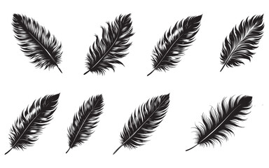 Obraz premium Black silhouette set of feathers vector