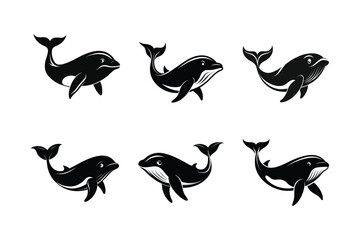 North Atlantic Right Whale (Eubalaena glacialis) mammal animal, labeled silhouette vector art illustration.