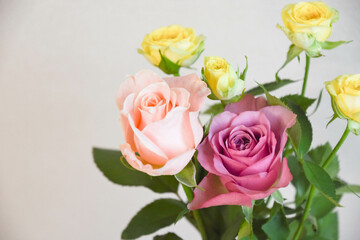 カラフルなばら