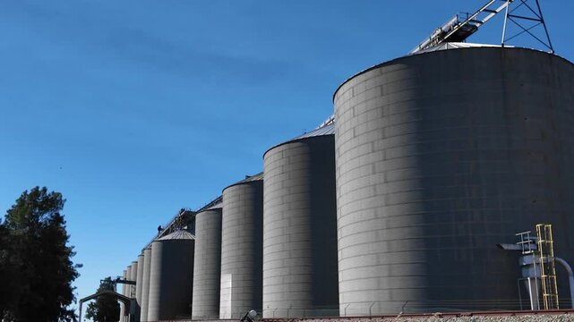 Hopefield Western Cape South Africa. 07.01.2025. Video. Wheatlands area close to Hopefield large grain silos and rail tracks used to tranport the grain from this location.