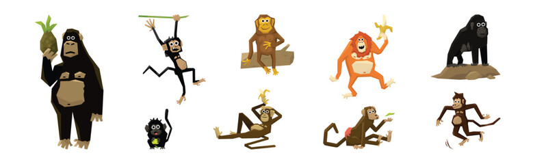 Different Monkey Animal with Long Tail Vector Set