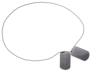 Blank Dog Tags isolated on white background. Blank Dog Tags on white background PNG File.