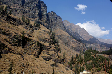 mountains with tree and sky background landscape