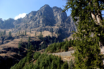 mountains with tree and sky background landscape