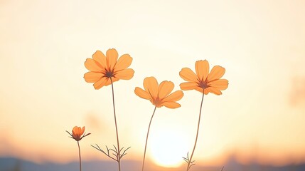 Three vibrant orange flowers silhouetted against a soft sunset in a serene landscape