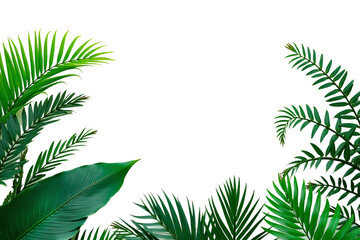 green leaves of tropical plants
