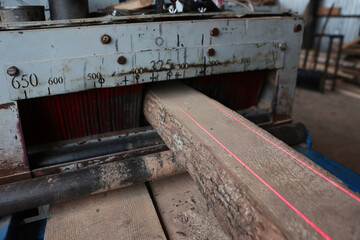 Laser marking of wood before sawing. Without people. Woodworking industry.